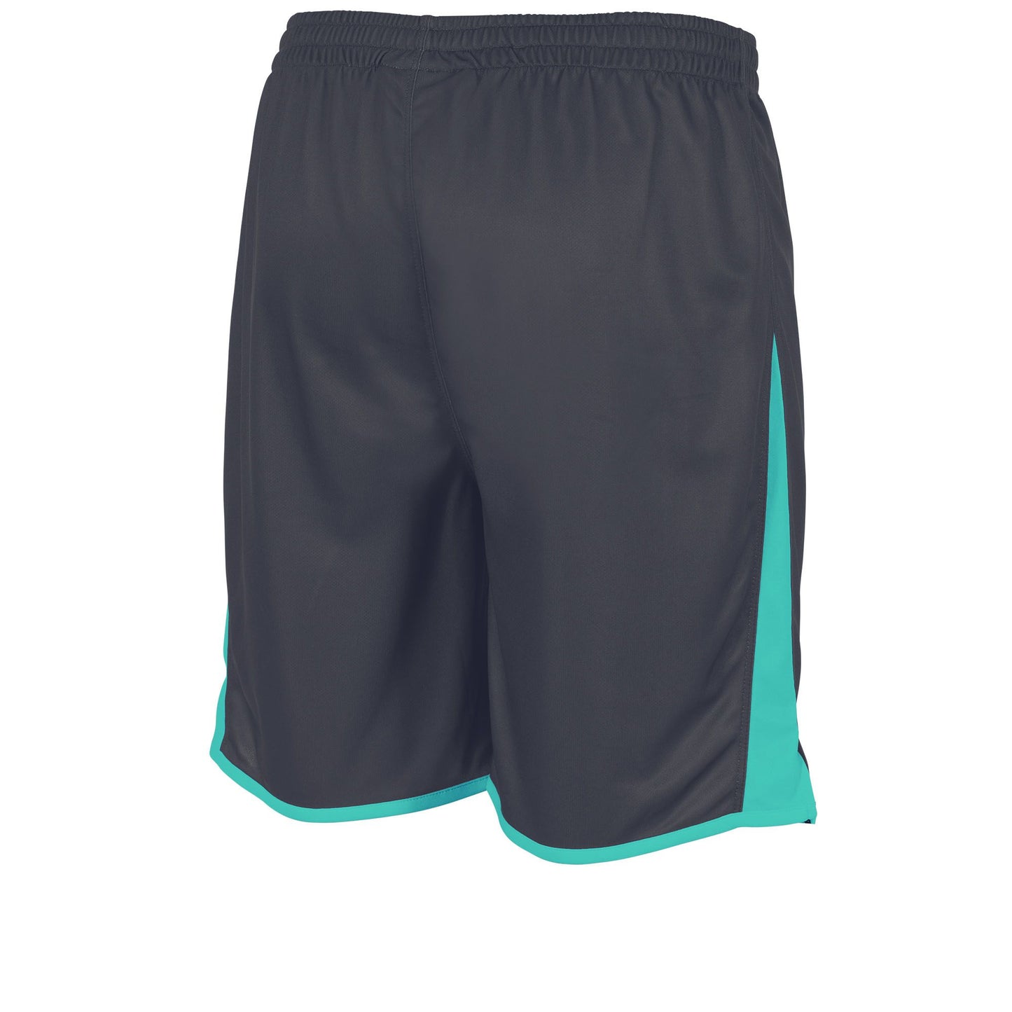 Stanno - Altius Shorts Grau