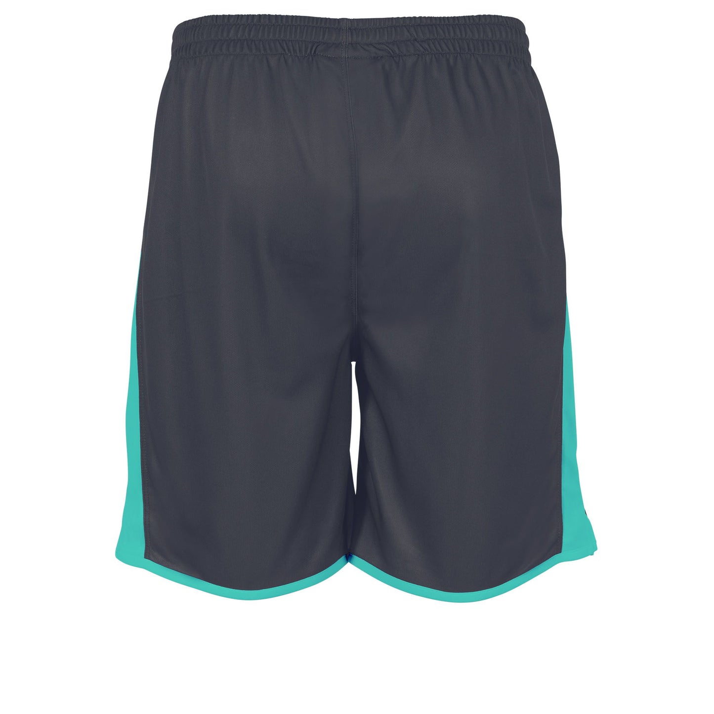 Stanno - Altius Shorts Grau