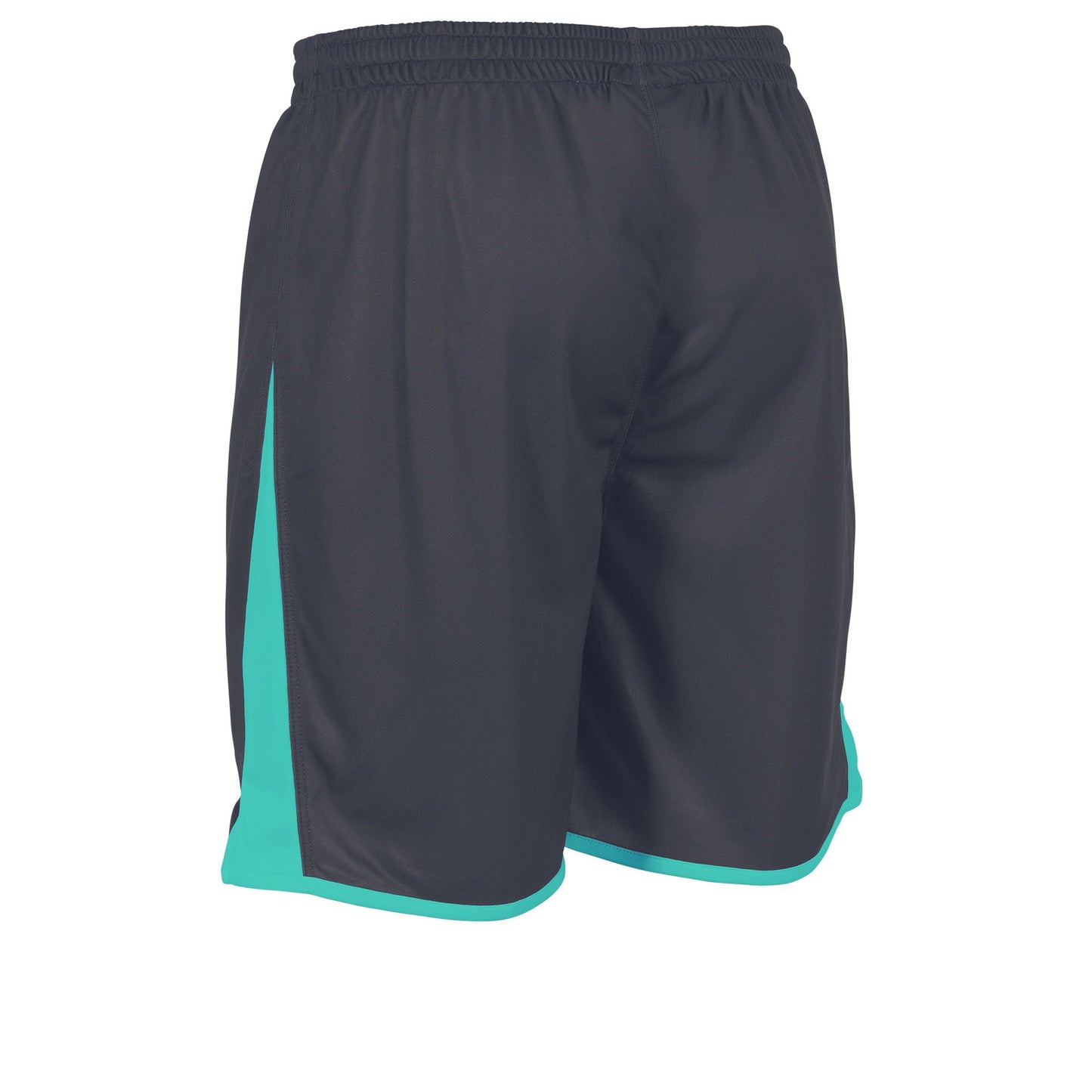 Stanno - Altius Shorts Grau