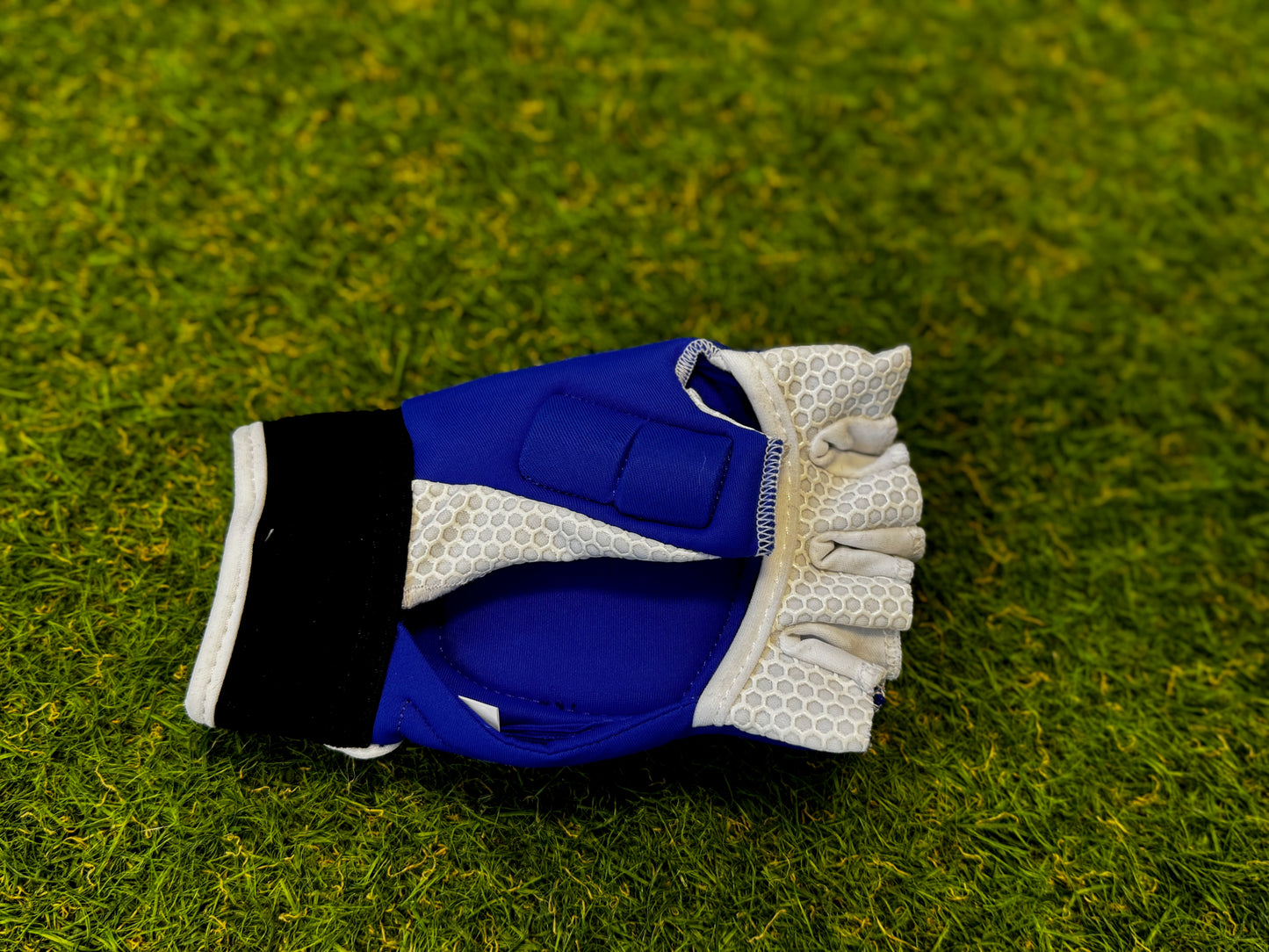 Turtle - Feld Handschuh Royal Blau