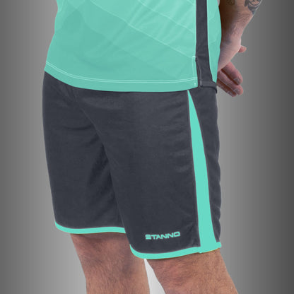 Stanno - Altius Shorts Grau